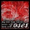   - 04