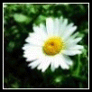   - 05