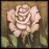  100 - 07