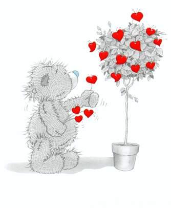  tatty teddy