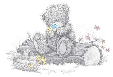  tatty teddy