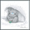  tatty teddy-24.jpg