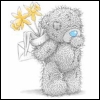  tatty teddy-58.jpg