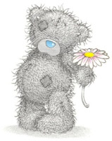  tatty teddy