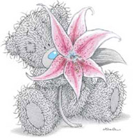  tatty teddy