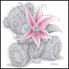  tatty teddy-83.jpg