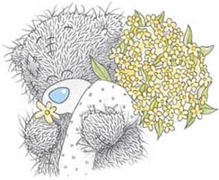  tatty teddy