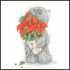  tatty teddy-97.jpg